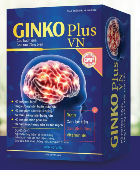 Ginko Plus VN hộp cứng